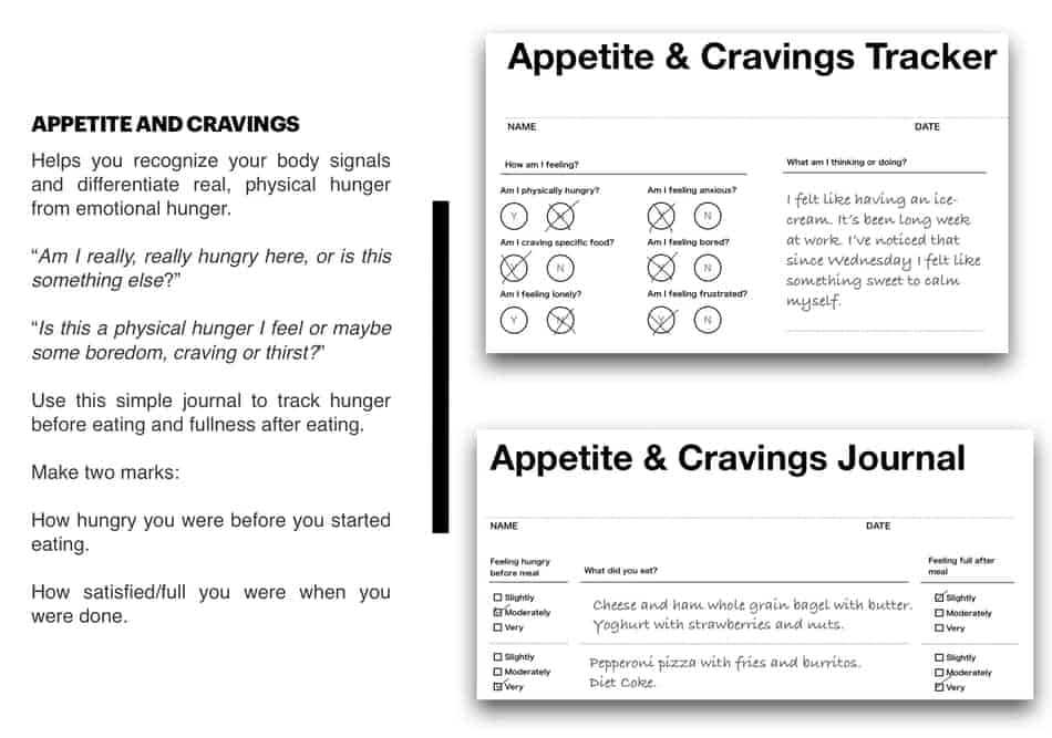 picture of appetite journal