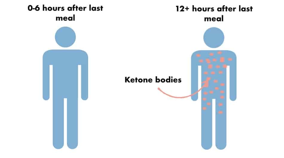 picture of ketosis