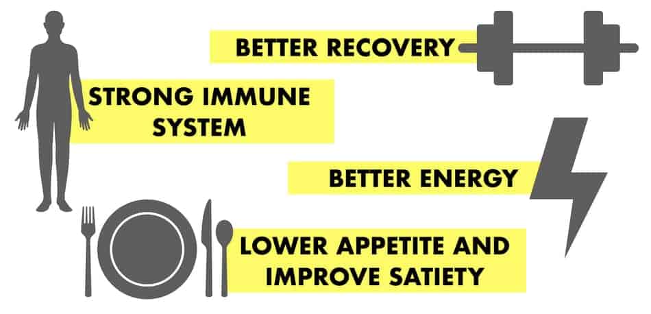 enough protein on omad is important for optimum health