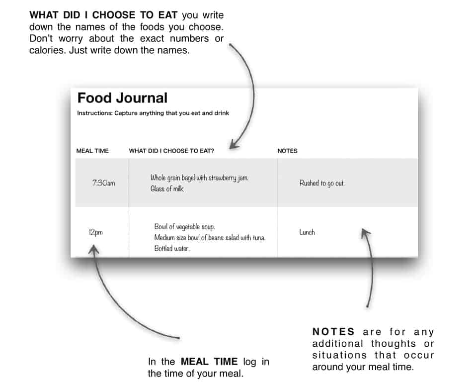 photo of food journal