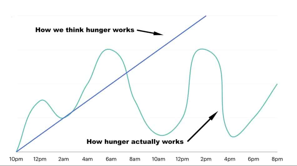 the hunger graph in omad and how long it take