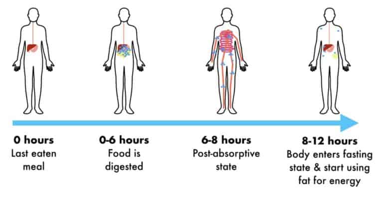 Doing OMAD But Not Losing Weight (Explained)