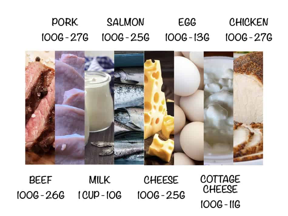 how much protein is in the foods