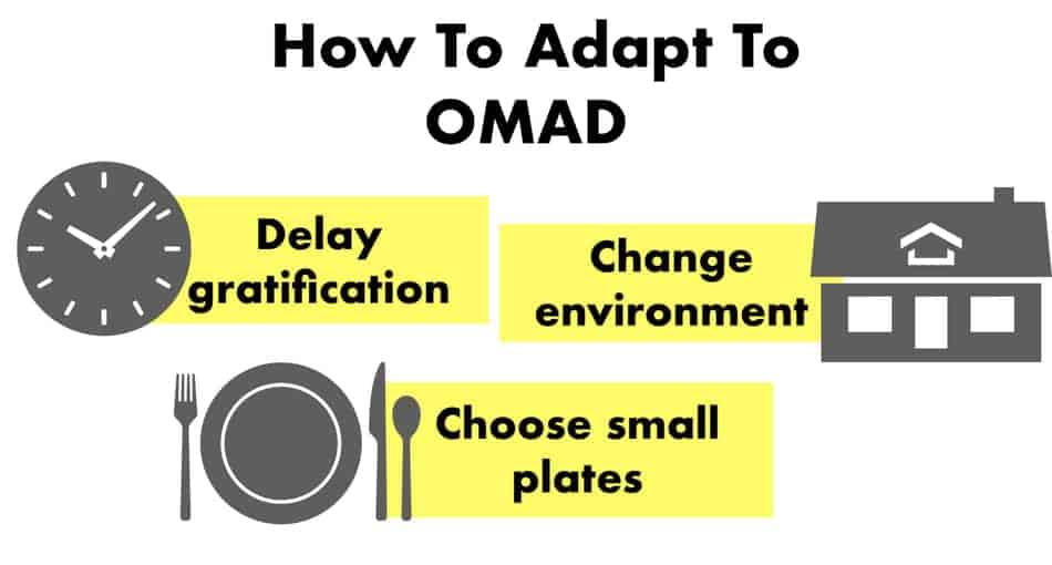 how to adapt to omad diet