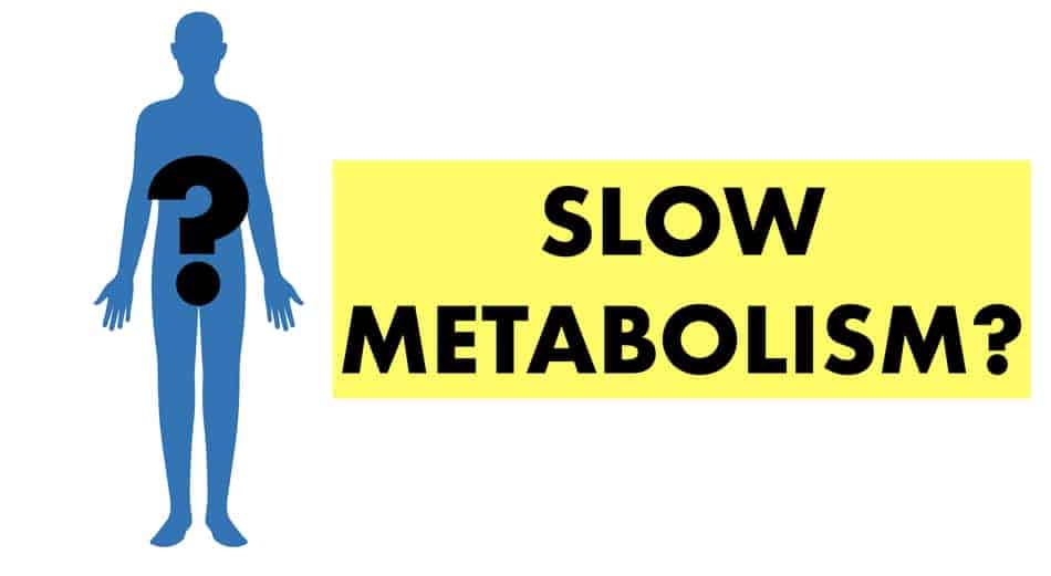 will omad slow metabolism