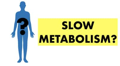 The Truth About OMAD and Metabolism