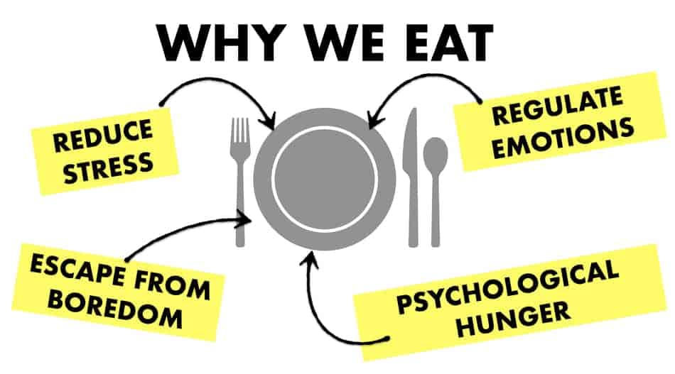 why people eat 