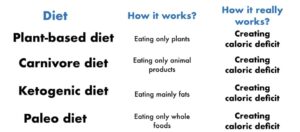 Can I Eat Rice Every Day And Lose Weight? (Explained) – Millennial Hawk