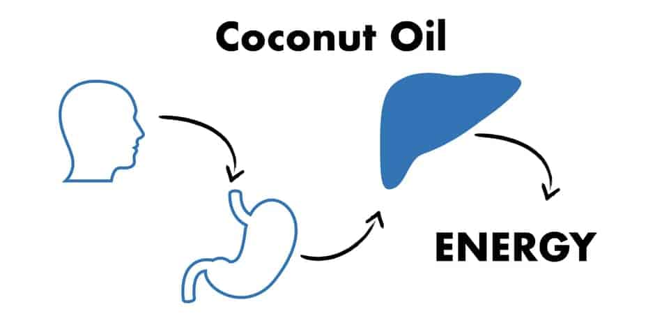 coconut water during omad