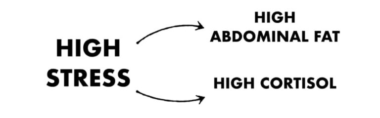 Can You Get Abs Without A Calorie Deficit? – Millennial Hawk