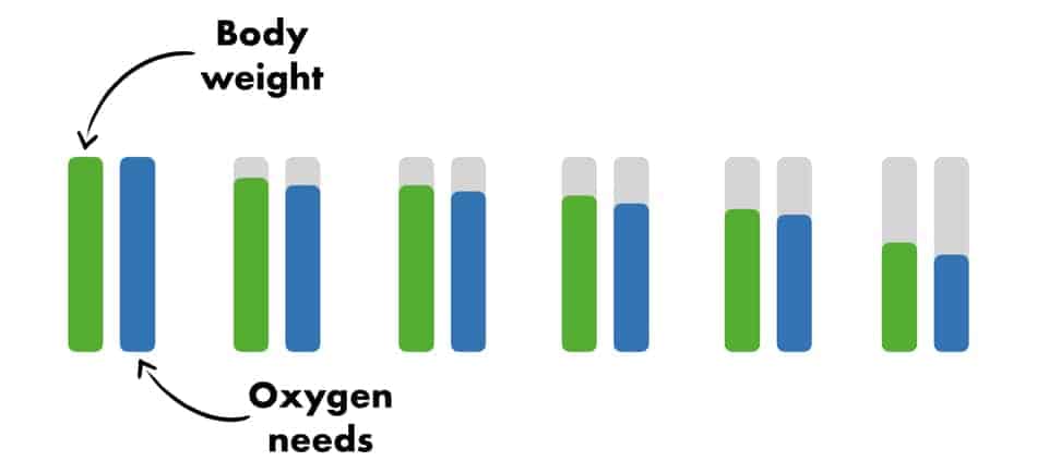 picture of the column of how we lose weight and our body decrease needs for oxygen