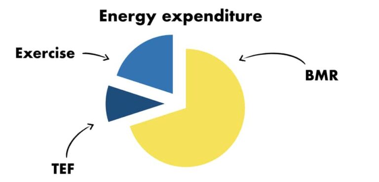 Lifting Weights On A Calorie Deficit (And why it’s important