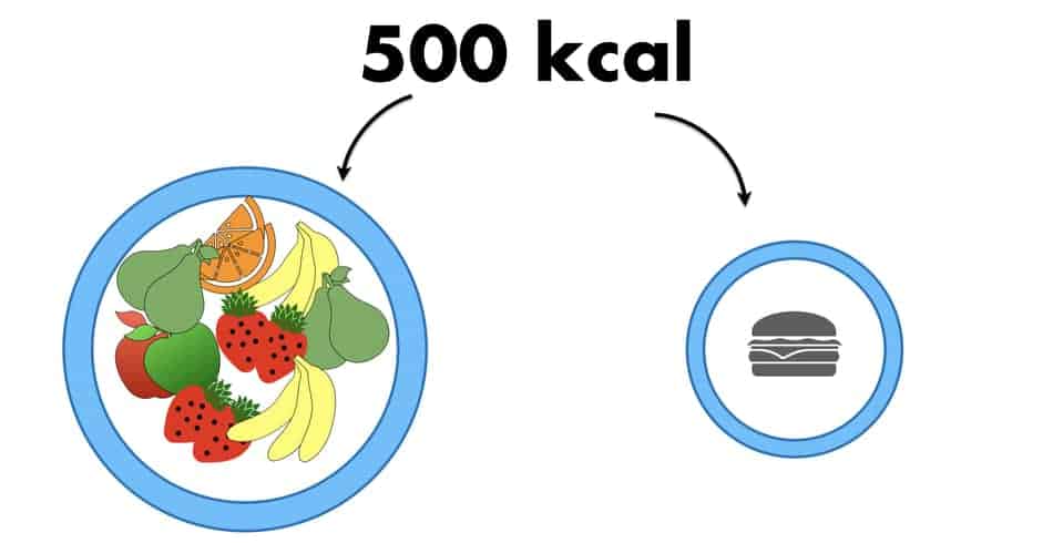 Can I Only Eat Fruits To Lose Weight 