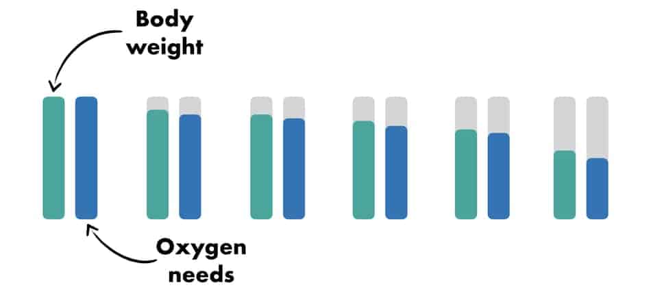 graph of weight loss and decrease of oxygen needs