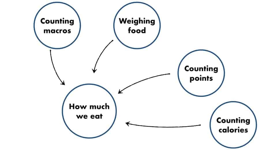 picture of counting calories as one of many ways to track food intake