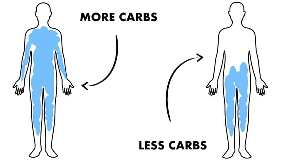 Can I Drink Diet Coke On OMAD? Millennial Hawk