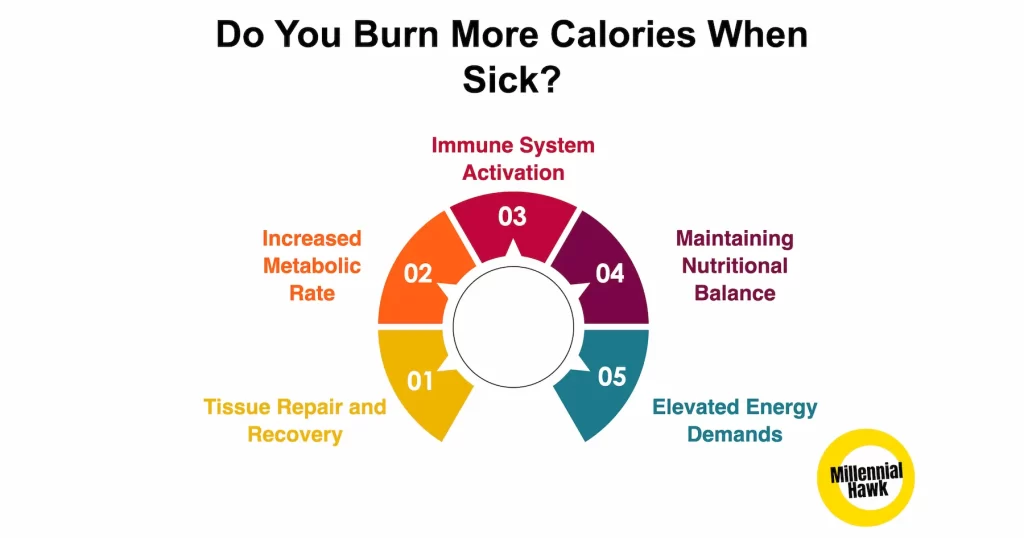 do you burn extra calories when sick