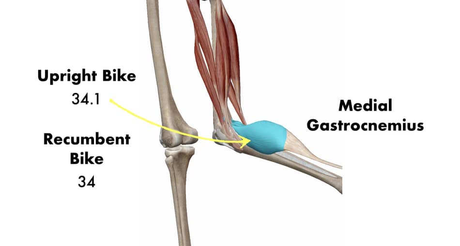 gastrocnemius muscle activity upright bike vs recumbent