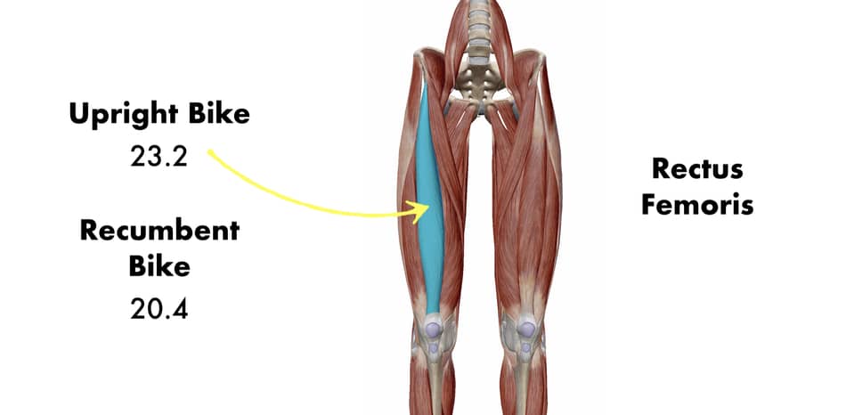 recumbent bike vs upright bike rectus femoris 