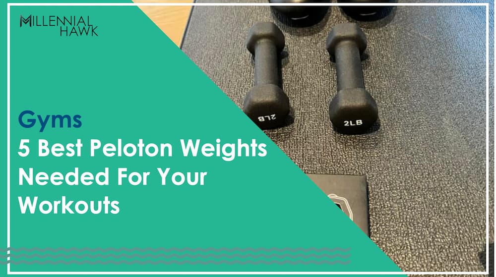 Peloton Weights and Dumbbell Racks