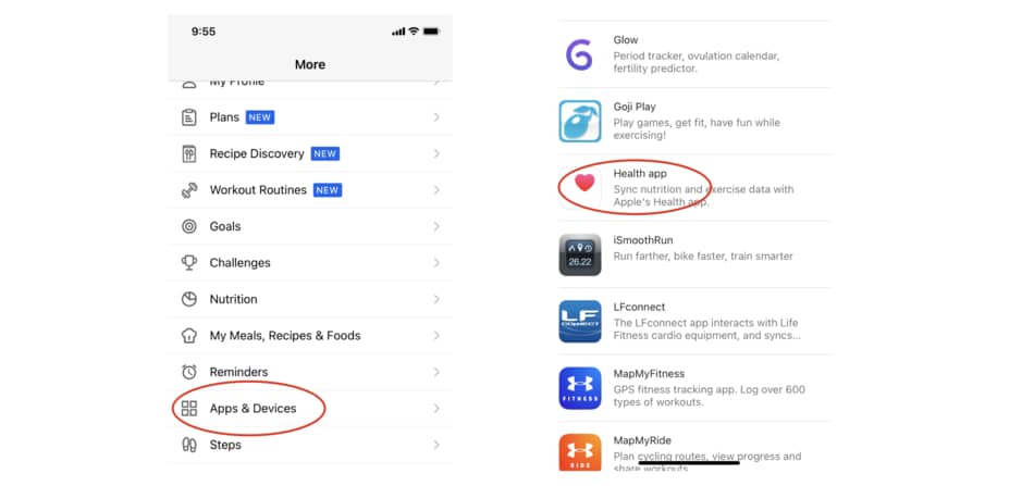 photo of how to sync myfitnesspal with apple health