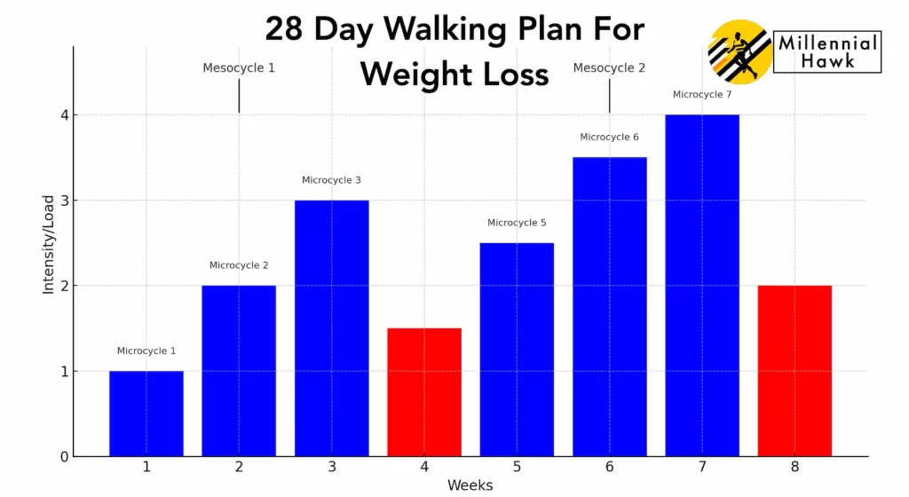 mesocycle and microcycle in a 28 day walking plan for weight loss